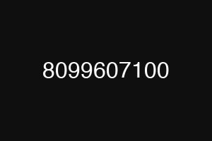 8099607100