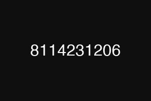 8114231206