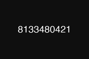 8133480421