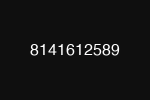 8141612589