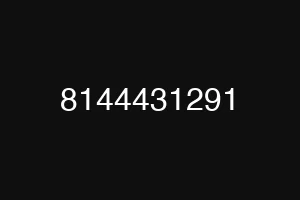 8144431291