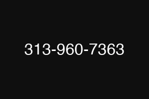 313-960-7363