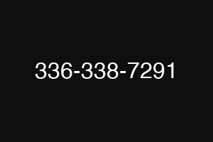 336-338-7291