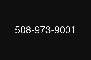 508-973-9001