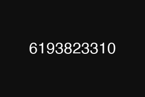 6193823310
