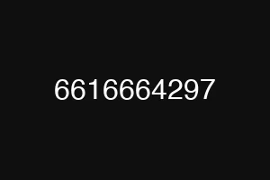 6616664297