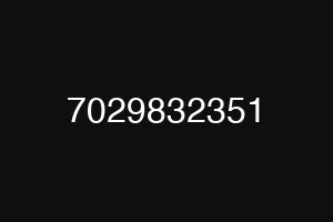 7029832351