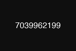 7039962199