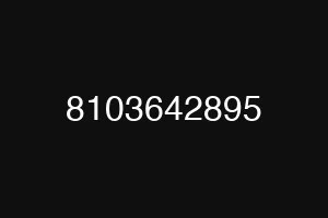 8103642895