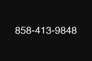 858-413-9848