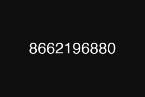 8662196880