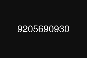 9205690930