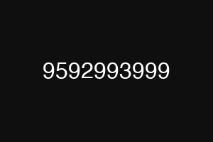 9592993999